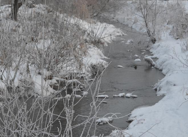 23 февраля температура в Рязанской области упадет до -34 °С