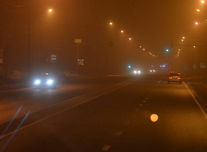 МЧС: в ближайший час Рязанскую область накроет туман