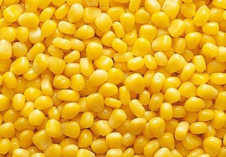 Россия запретит поставки кукурузы из США