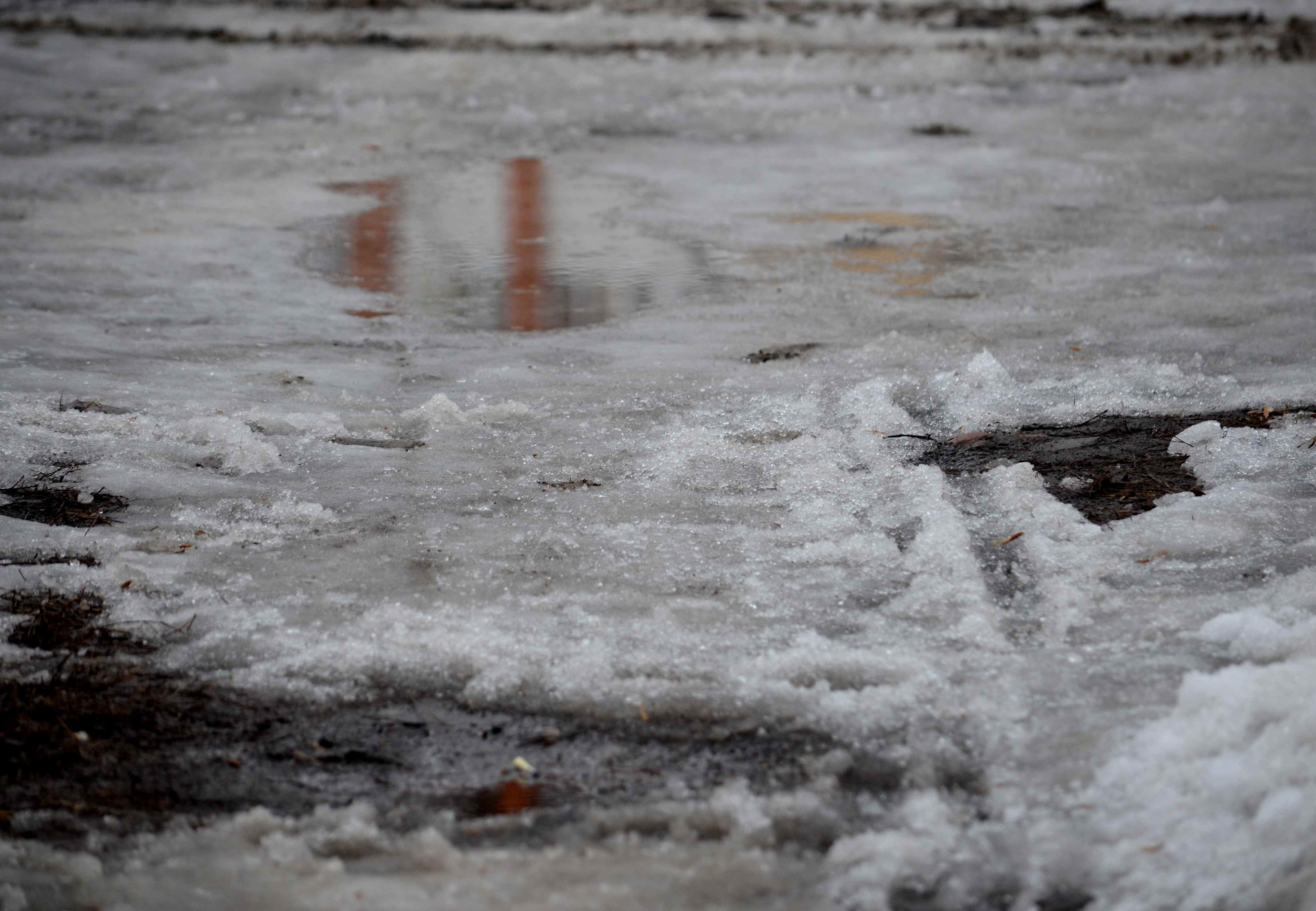 Ночью в Рязанской области ожидается дождь со снегом