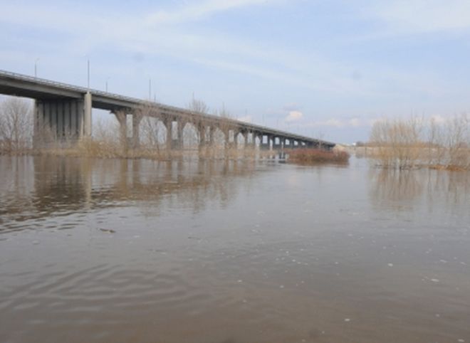 МЧС: за сутки уровень воды в Оке в черте Рязани понизился на один сантиметр