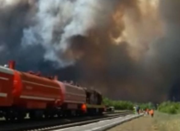 Площадь лесного пожара на границе Рязанской области и Мордовии превысила 200 га