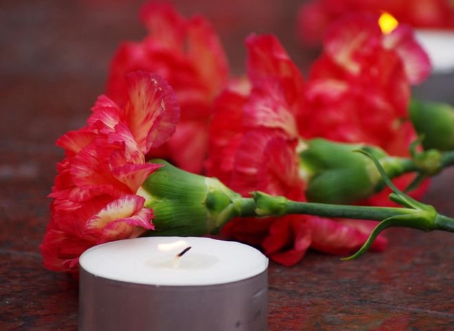 Рязанцы возлагают цветы в память о погибших в авиакатастрофе под Сочи