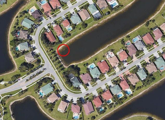 Во Флориде останки пропавшего 22 года назад мужчины нашли при помощи Google-карт