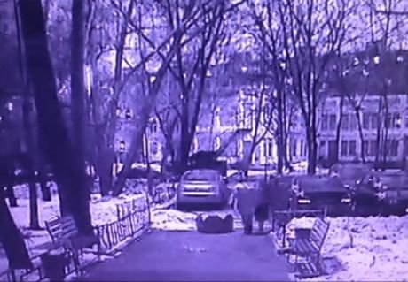 Рязанец напал в Москве на пенсионерку из-за 10 рублей (видео)