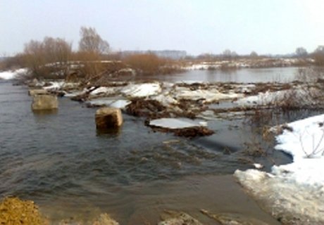 В Старожиловском районе подтоплен мост через Проню