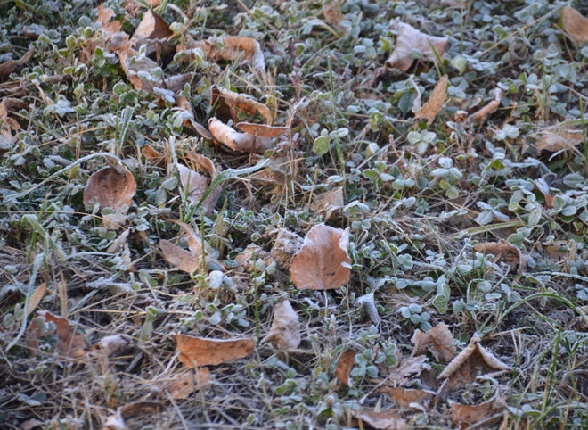 Во вторник в Рязанской области похолодает до -5 °С