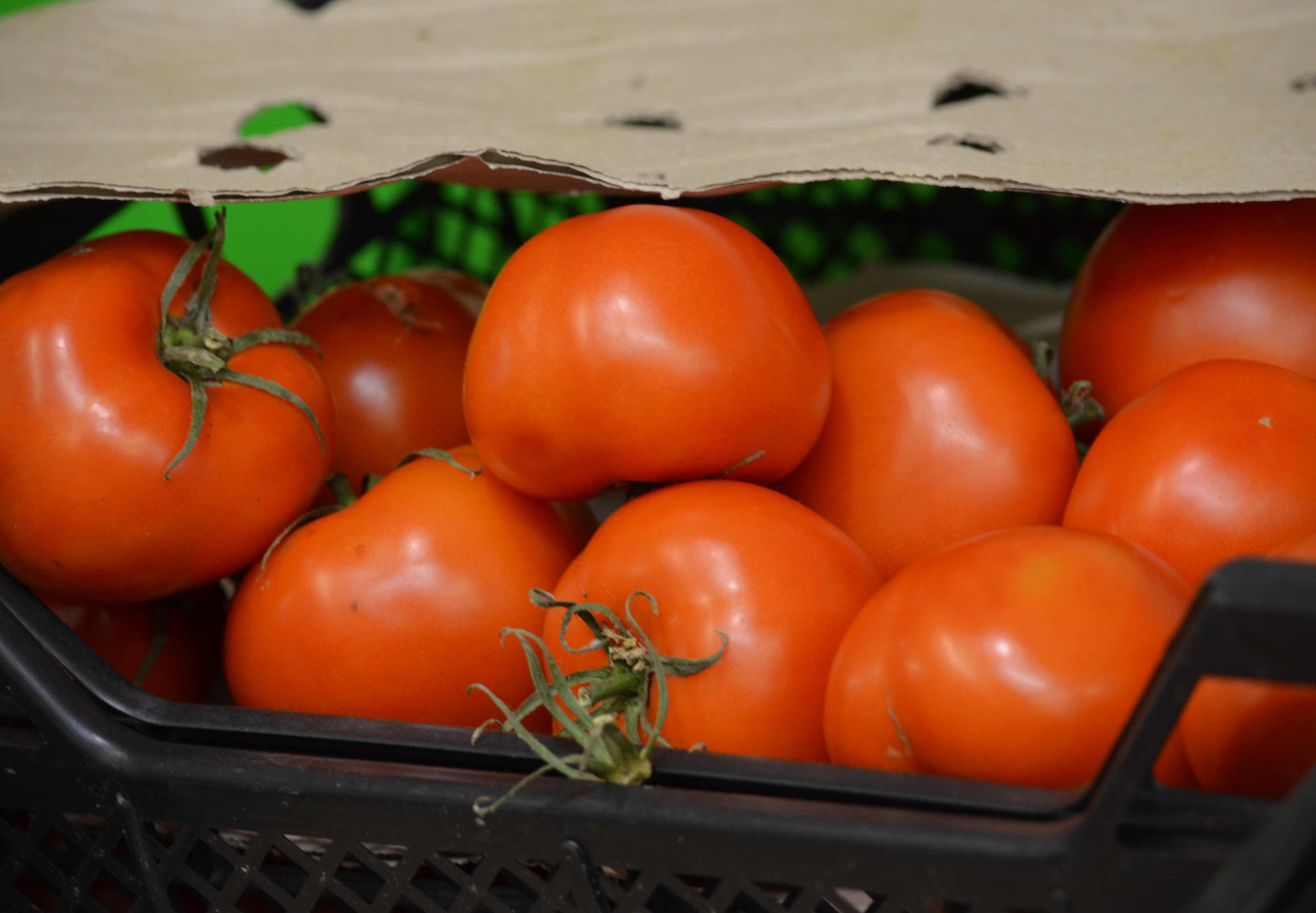 В Рязани уничтожили 367 кг турецких томатов