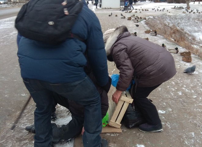 Соцсети: на улице Новоселов упавший пожилой рязанец ждал «скорую» 40 минут