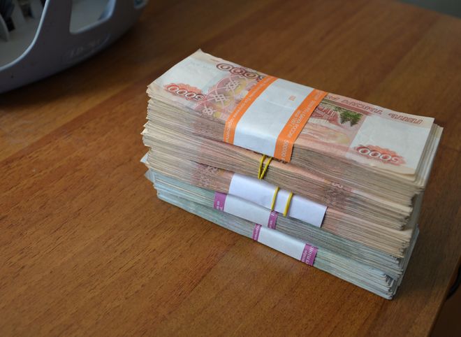 Рязанский предприниматель задолжал налоговой почти 6 млн рублей