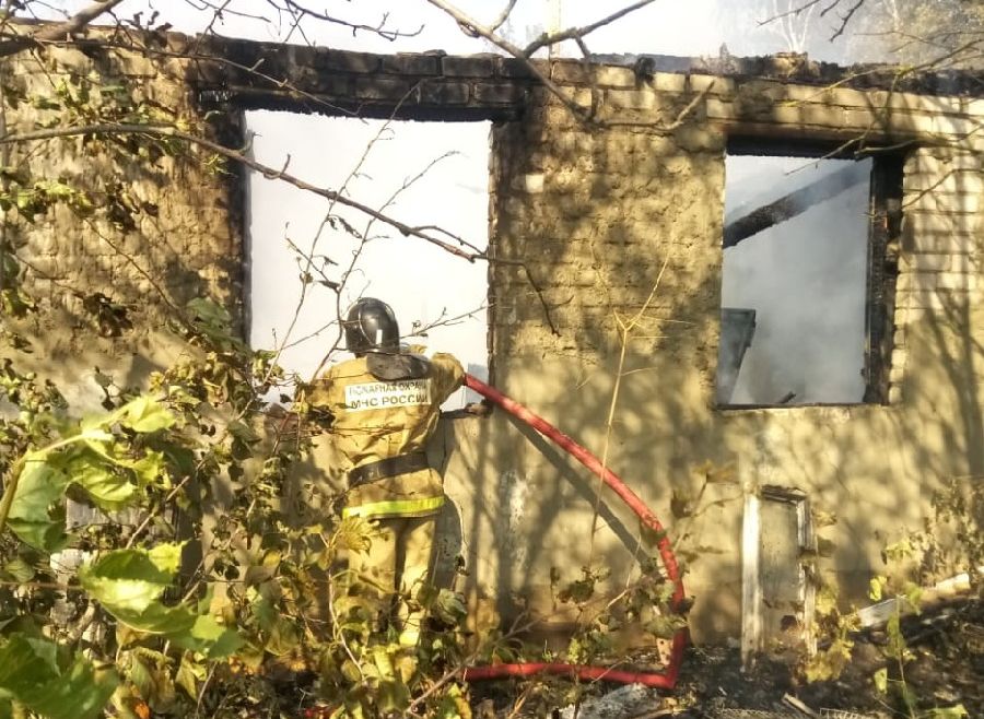 Опубликованы подробности трагического пожара в Пронском районе