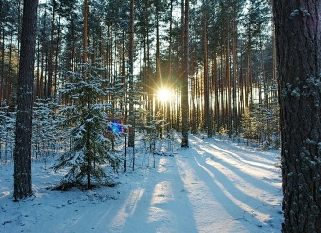 В понедельник в Рязанской области ожидается до -28 ºС