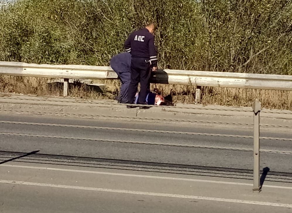 У Северной окружной дороги обнаружен раненый мужчина