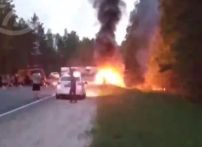 Под Рязанью машина загорелась после столкновения с выбежавшим на дорогу лосем