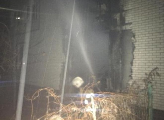 На пожаре во Владимирской области погибли бабушка и двое внуков