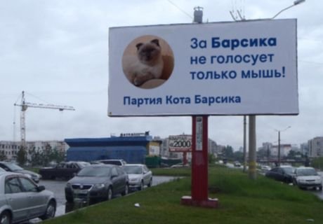 В Барнауле кот Барсик создал свою партию