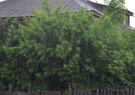 В Рязанской области ожидаются дождь и град