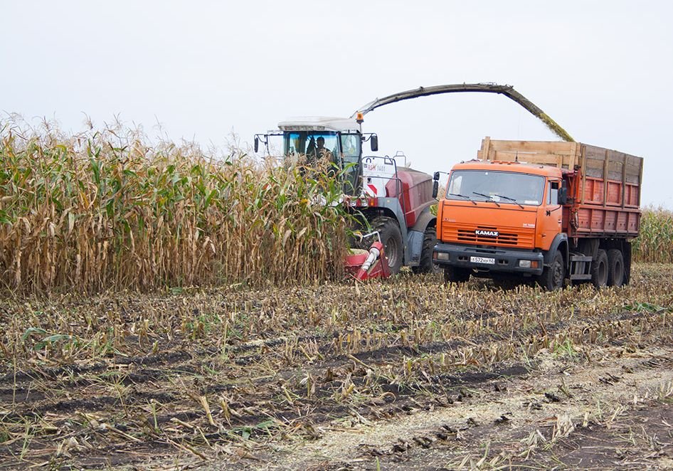 Рязанские аграрии обсудили условия сбыта кукурузы