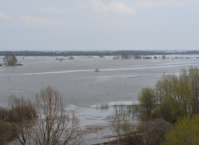 Уровень воды в Оке в черте Рязани упал до 4,5 м