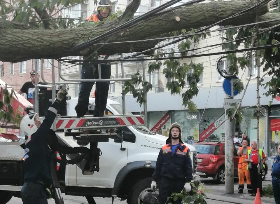 Видео: спасатели распиливают дерево, рухнувшее на улице Есенина