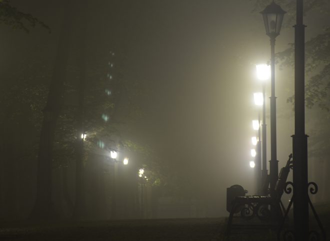 Рязанское МЧС предупредило о ночном тумане