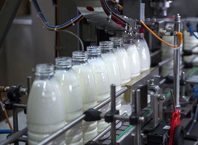 Рязанский молочный завод нарушил санитарные нормы