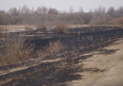 За сутки рязанские пожарные 155 раз тушили горевшую траву