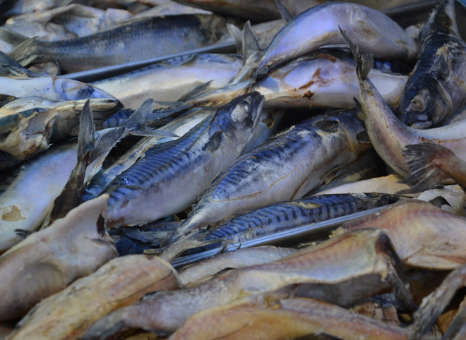 В Рязани изъяли крупную партию контрабандной рыбы