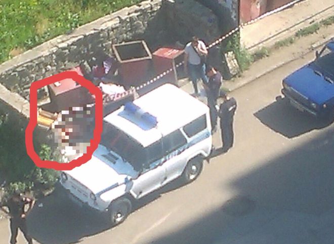 В Челябинске в мусорном  баке найден расчлененный труп женщины