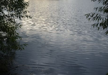 В Рязанской области на берегу озера расстреляли пару