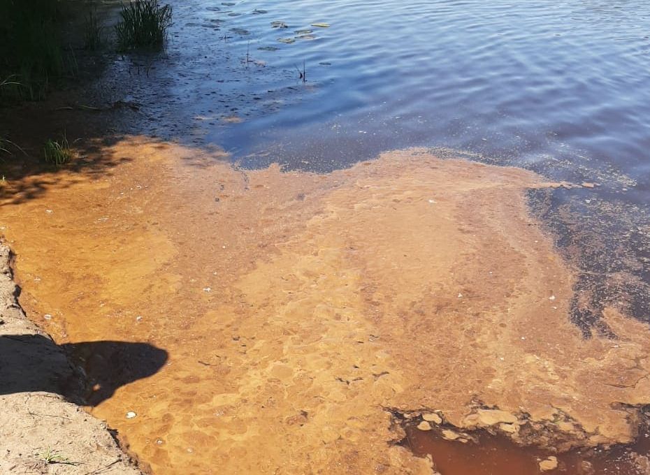 Установлен загрязнитель реки Старицы в Солотче