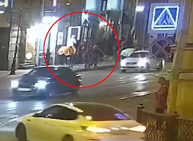В центре Санкт-Петербурга лошадь откусила нос мужчине