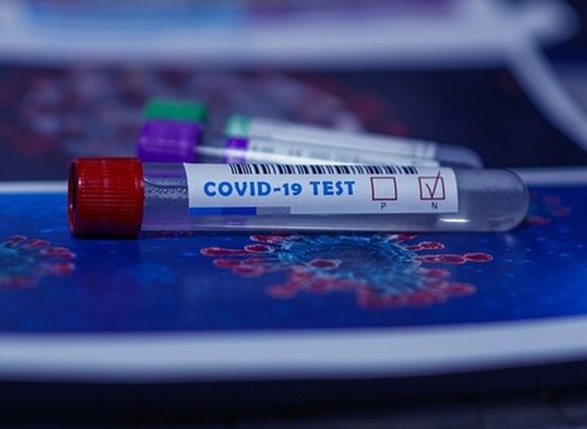 Более 2 300 рязанцев проходят тестирование на коронавирус
