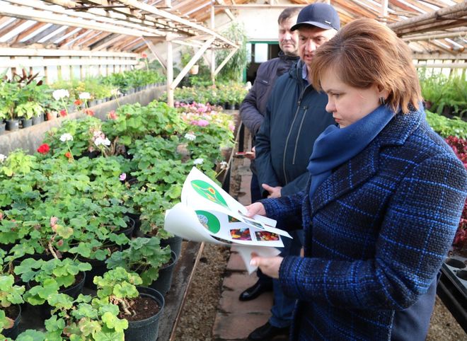 В этом году на рязанских клумбах высадят около 400 тыс. однолетних растений