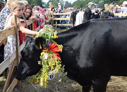 В Рязанской области отменили молочный фестиваль