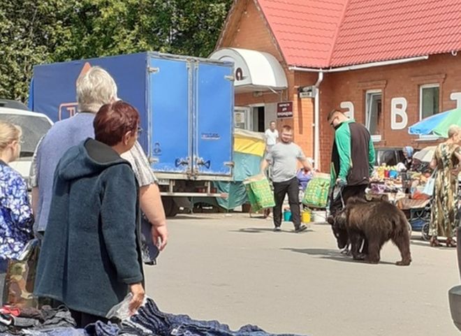 Фото: по улицам Шацка гуляет медведь
