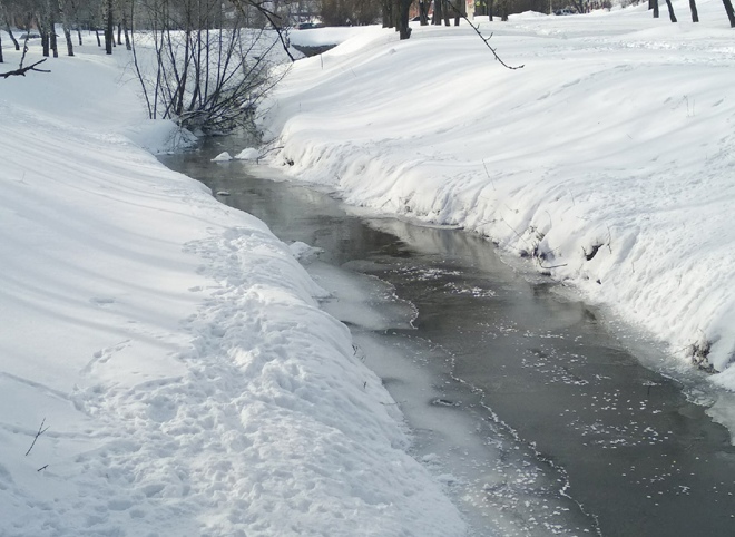 В Рязани замерзла речка Лыбедь