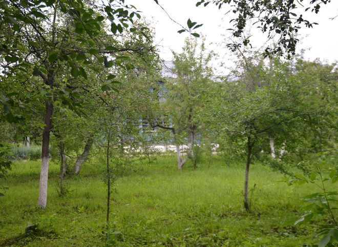 Любимов поручил вывести парк юннатов из зоны застройки