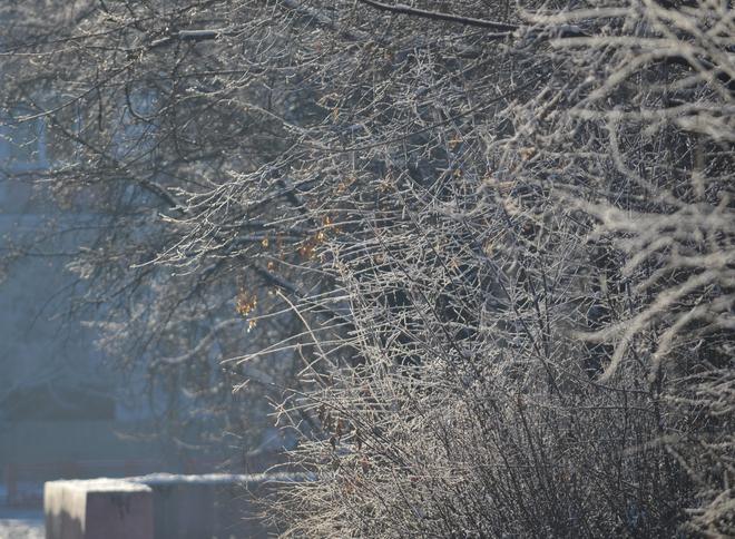 МЧС предупредило рязанцев о резком похолодании