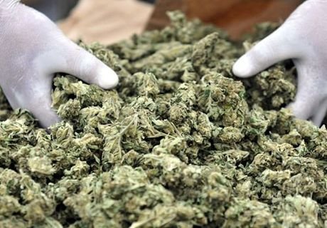 Рязанские наркополицейские изъяли пять кг марихуаны