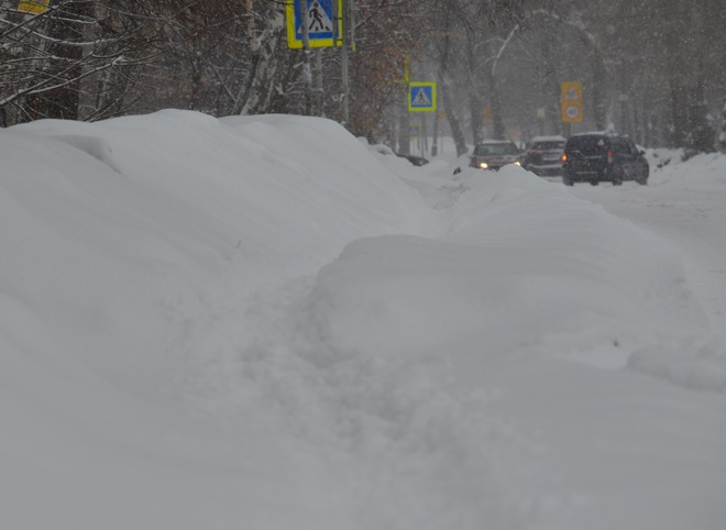Жителей Рязанской области предупредили о продолжительных снегопадах
