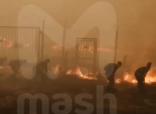 Лесные пожары подобрались вплотную к КПП на въезде в Саров