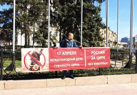В Рязани прошли одиночные пикеты за цирк без животных