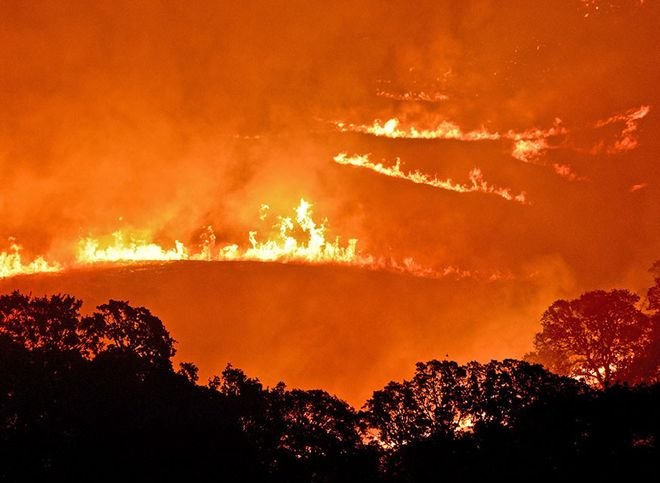 В результате пожаров в Калифорнии погибли 17 человек