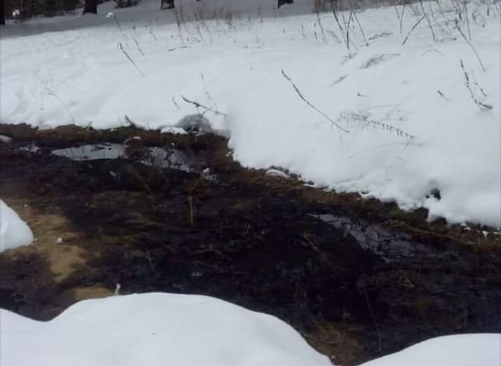 В Солотче обнаружили поток «нефти»