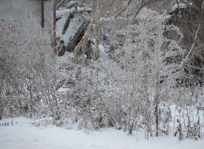 В Рязанской области ожидается 30-градусный мороз