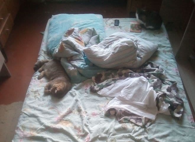Соцзащита купит кровать для ребенка-инвалида из Кораблина, который вынужден спать на полу