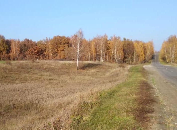 В Рязанской области обнаружен автомобиль с трупом внутри