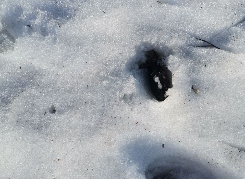 В Дашково-Песочне школьники нашли в снегу предмет, похожий на гранату