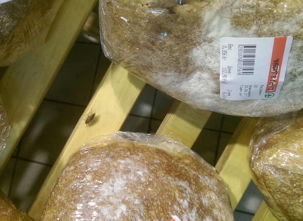 В рязанском супермаркете на полке с хлебом нашли таракана